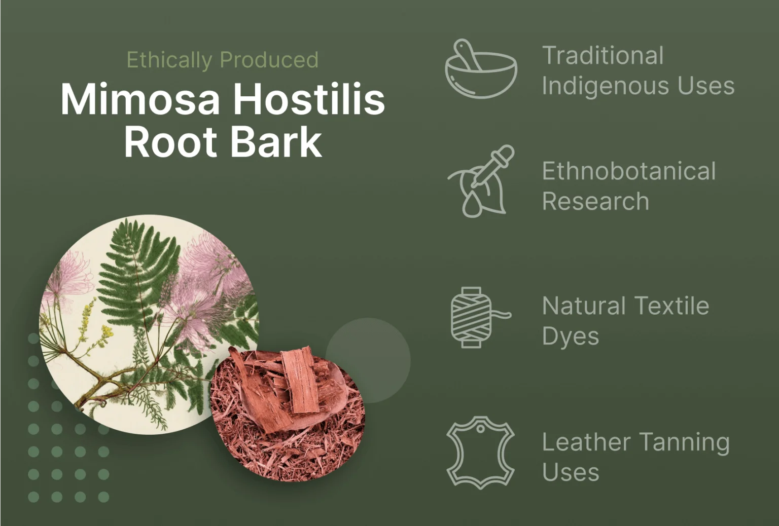 Mimosa-Hostilis-Root-Bark-100g-Image-4-e1720138394816-1536x1038.png
